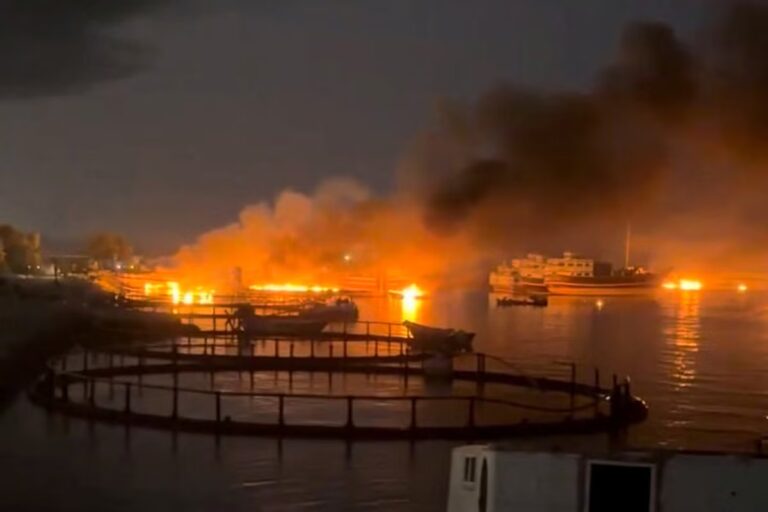 tag_reuters-com-2026_newsml_RC2M9MAFHVM3_376591435-reuters.jpeg