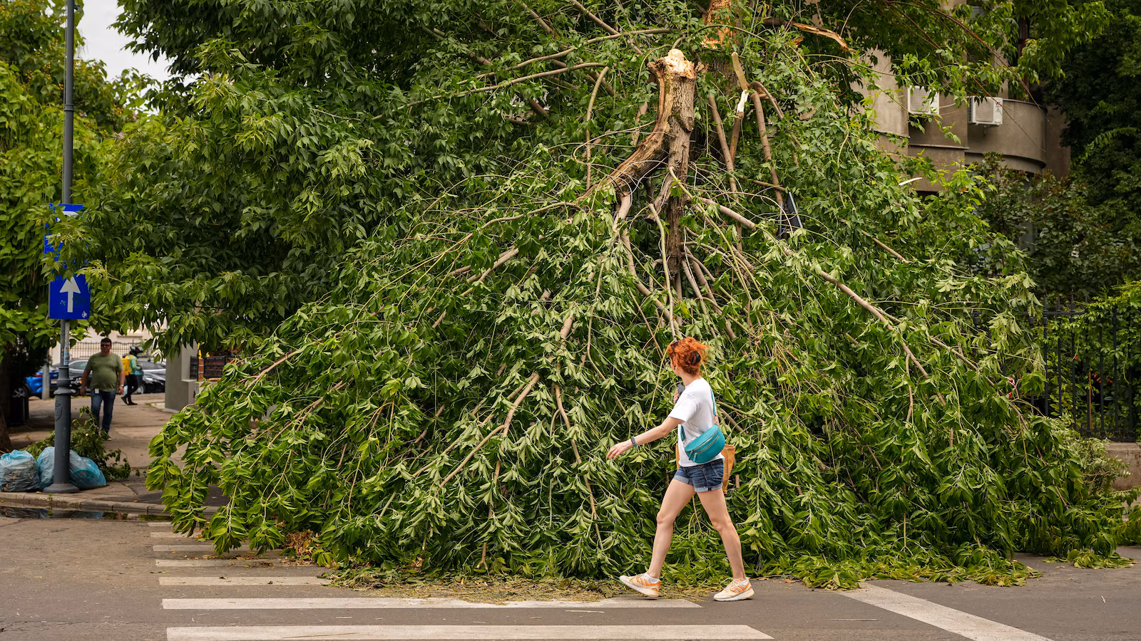 wirestory_5081a17e7ba75c5c84bd183c800956c3_16x9.jpg