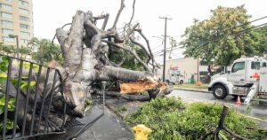 1786965777215_tdy_news_7a_chesky_hawaii_storm_260817_S3_1920x1080-64twpf.jpg
