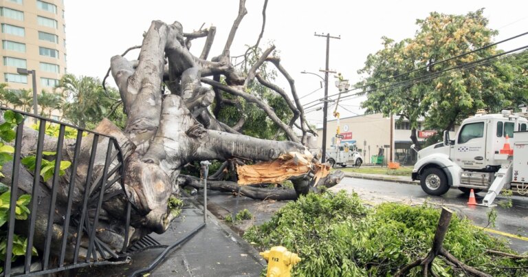 1786965777215_tdy_news_7a_chesky_hawaii_storm_260817_S3_1920x1080-64twpf.jpg
