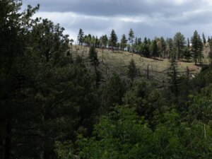 2025-06-27T045248Z_1246023541_RC2HAFAEIL7Y_RTRMADP_3_USA-WILDFIRE-1787084645.jpg