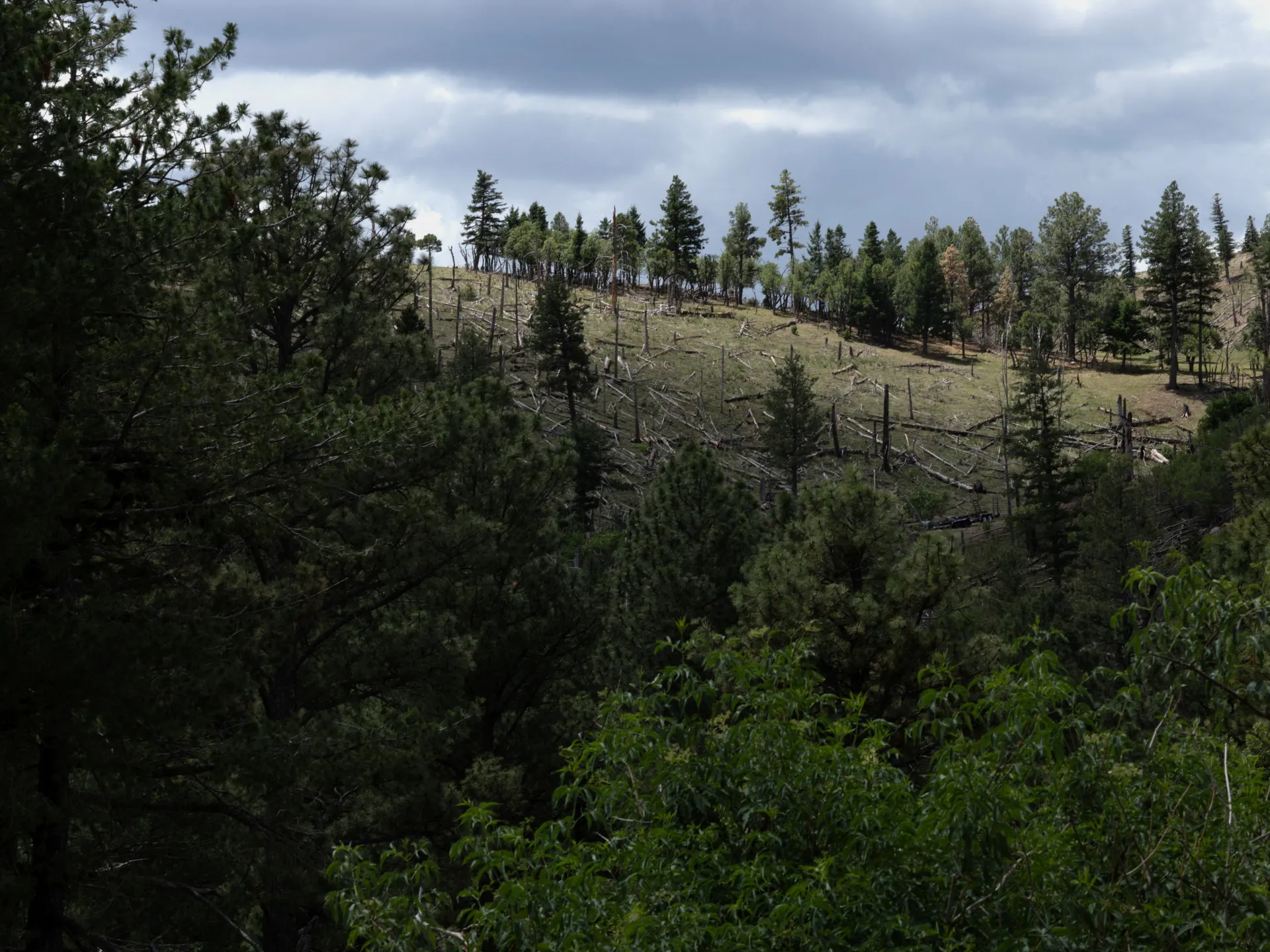 2025-06-27T045248Z_1246023541_RC2HAFAEIL7Y_RTRMADP_3_USA-WILDFIRE-1787084645.jpg