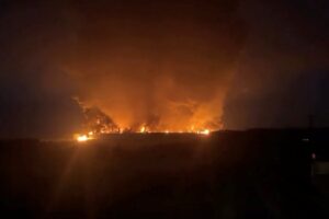 2026-08-05T090607Z_817090525_RC29SMAQ2TQZ_RTRMADP_3_UKRAINE-CRISIS-ATTACK-WILDBERRIES.JPG
