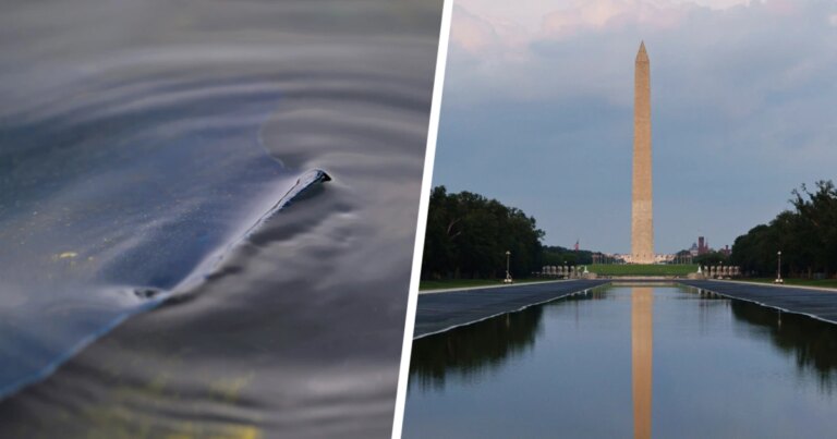 260819-reflecting-pool-paint-mn-1310-f5d7cf.jpg