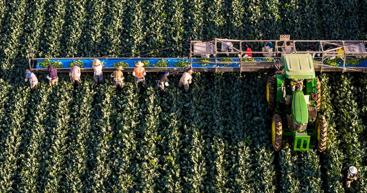260828-yuma-arizona-farm-mn-1615-5e518a.jpg