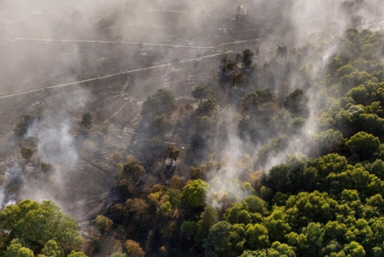 British-PM-bans-sales-of-BBQs-deploys-military-in-wildfire-fight.jpg