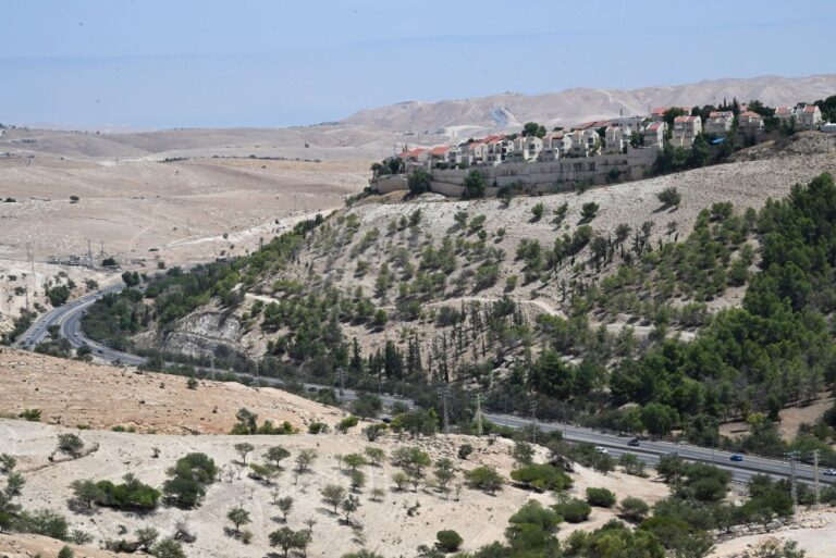Countries-condemn-Israels-E1-settlement-tender-in-West-Bank.jpg