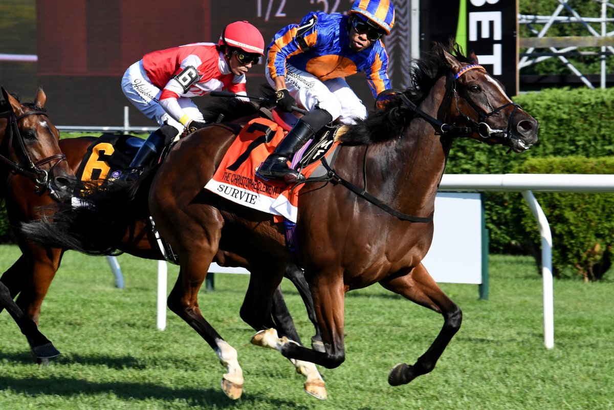 For-ladies-weekend-in-horse-racing-fillies-beat-males-in-2-big-races.jpg