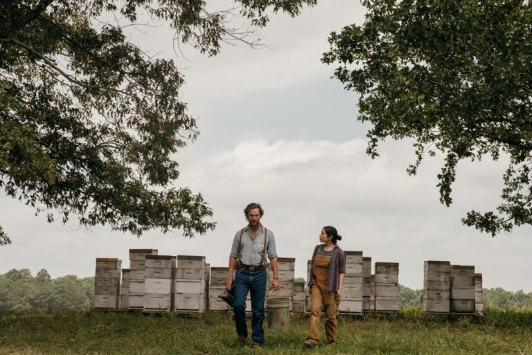 Matthew-McConaughey-Amziah-learns-about-community-from-his-bees.jpg