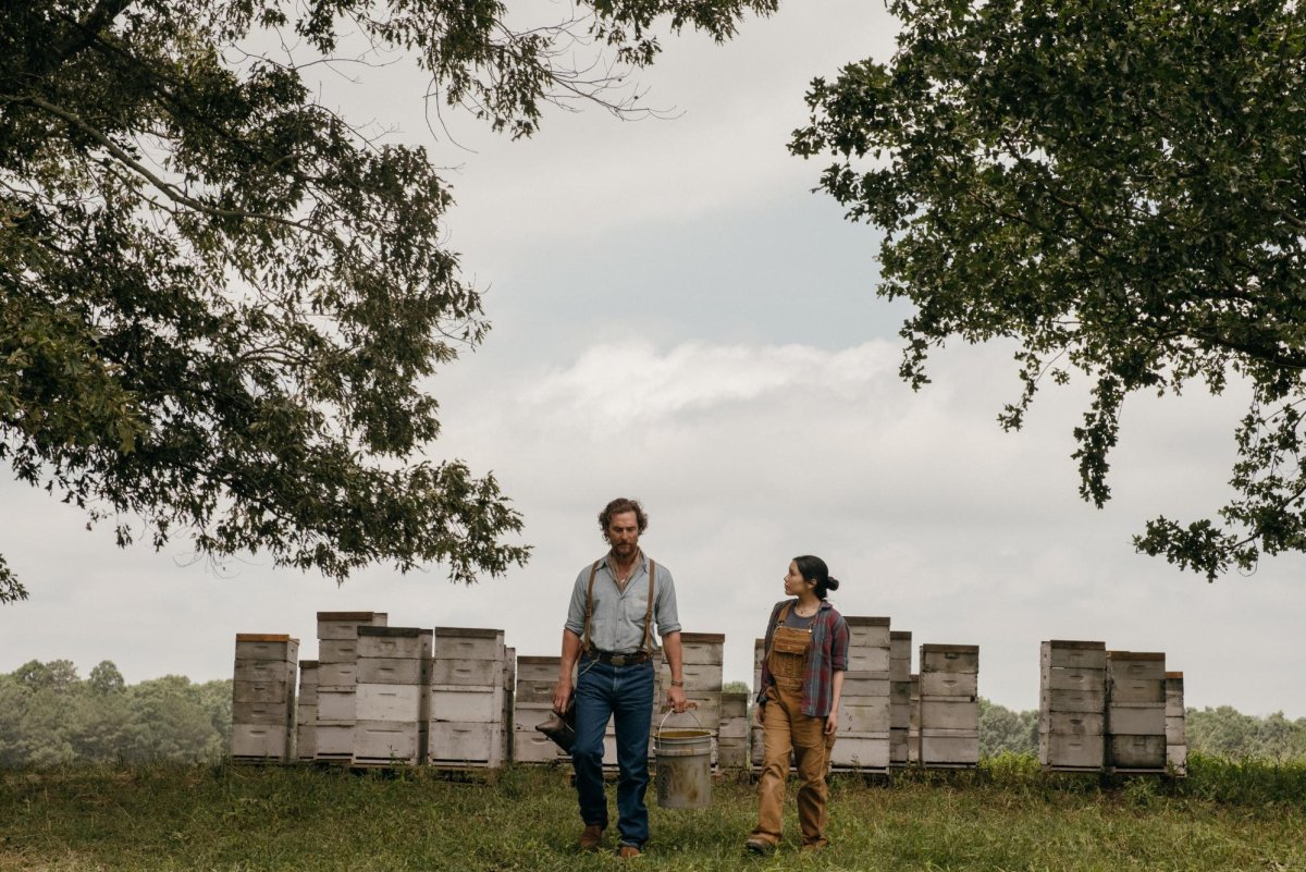 Matthew-McConaughey-Amziah-learns-about-community-from-his-bees.jpg