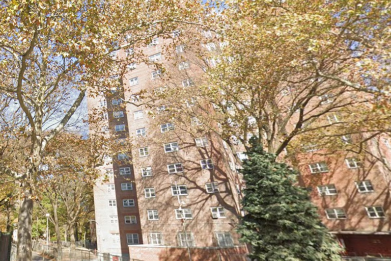 NYCHA-Albany-house-Brooklyn.png