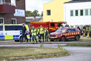 Sweden_Sword_Attack_29488.jpg