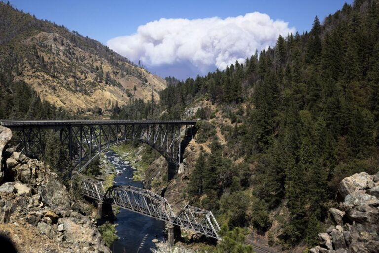 Trumps-plan-to-ax-the-natl-forest-Roadless-Rule-will-struggle-in-court.jpg