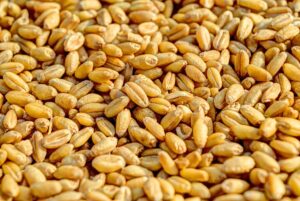 Ukraine-hits-Russian-grain-facilities-prompting-food-price-warnings.jpg