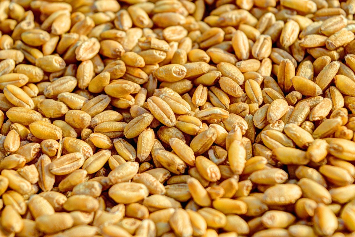 Ukraine-hits-Russian-grain-facilities-prompting-food-price-warnings.jpg