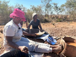 Women_former_farm_workers_in_Kwekwe_have_turned_into_artisanl_miners_destroying_the_once_flourishing.webp