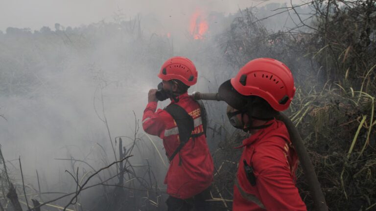 wirestory_ffbea47df1da615f88f8d4ca5b8be4cb_16x9.jpg