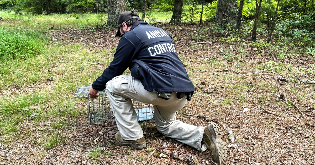 250828-rabies-animal-control-ew-1146a-0b05ae.jpg