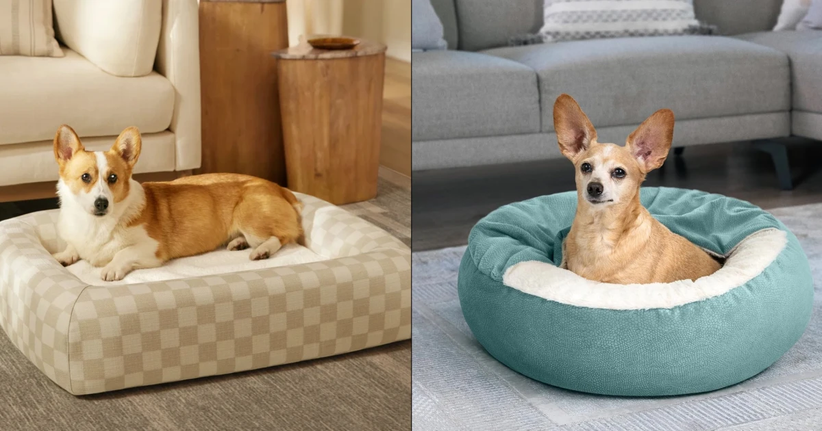 260828-best-dog-beds-dj-main-ab2d50.jpg
