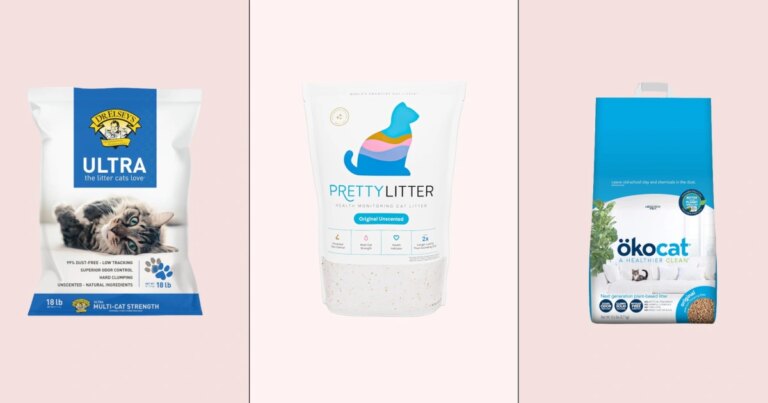 260914-cat-litter-lf-main-67c63d.jpg