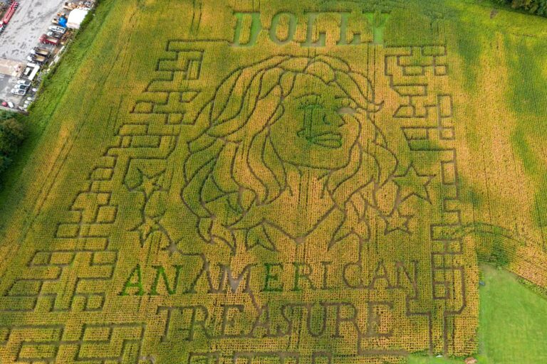 Dolly_Parton_Corn_Maze_867_.jpg