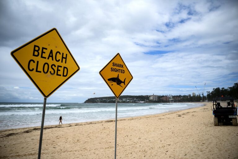 Man-in-serious-condition-after-shark-attack-near-Western-Australia.jpg
