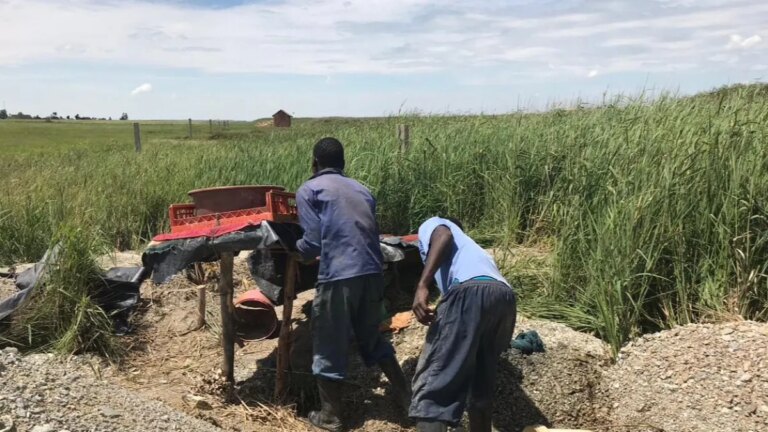 illegal-chrome-workers-at-work-pic-credit-Tsitsi-Bhobo-1786979291.jpg