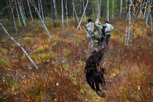 2026-10-12T081359Z_1783134077_RC2LRNAVN3ME_RTRMADP_3_RUSSIA-BEARS.JPG