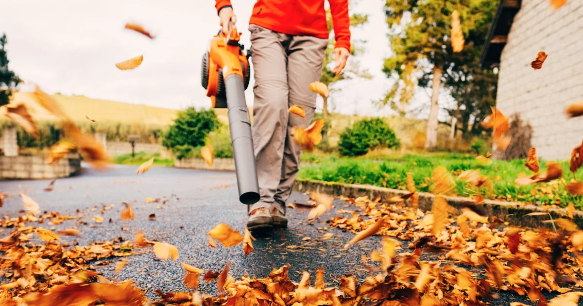 260929-best-leaf-blowers-lf-main-33ee29.jpg