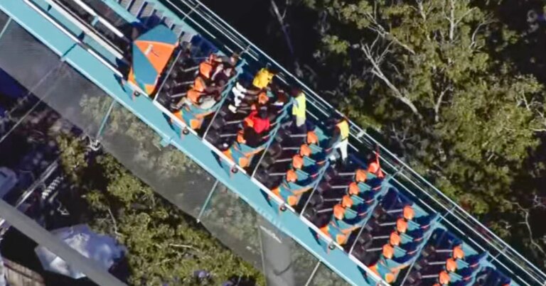 261012-WXIA-GA-Roller-Coaster-Death-ew-653p-490e38.jpg