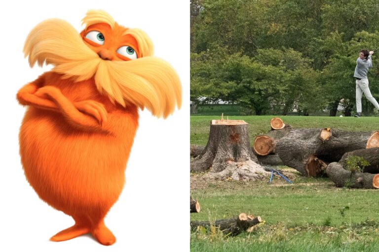 Lorax-split.jpeg