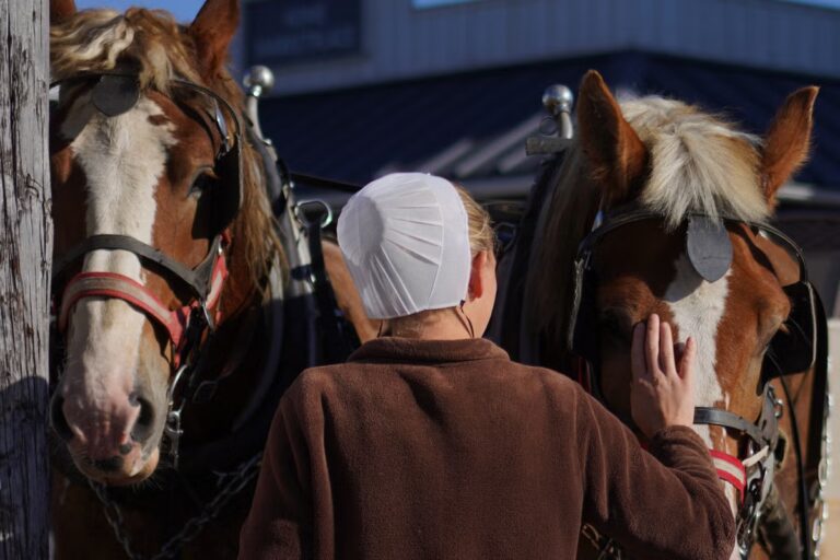Measles-Amish_Country_76245.jpg