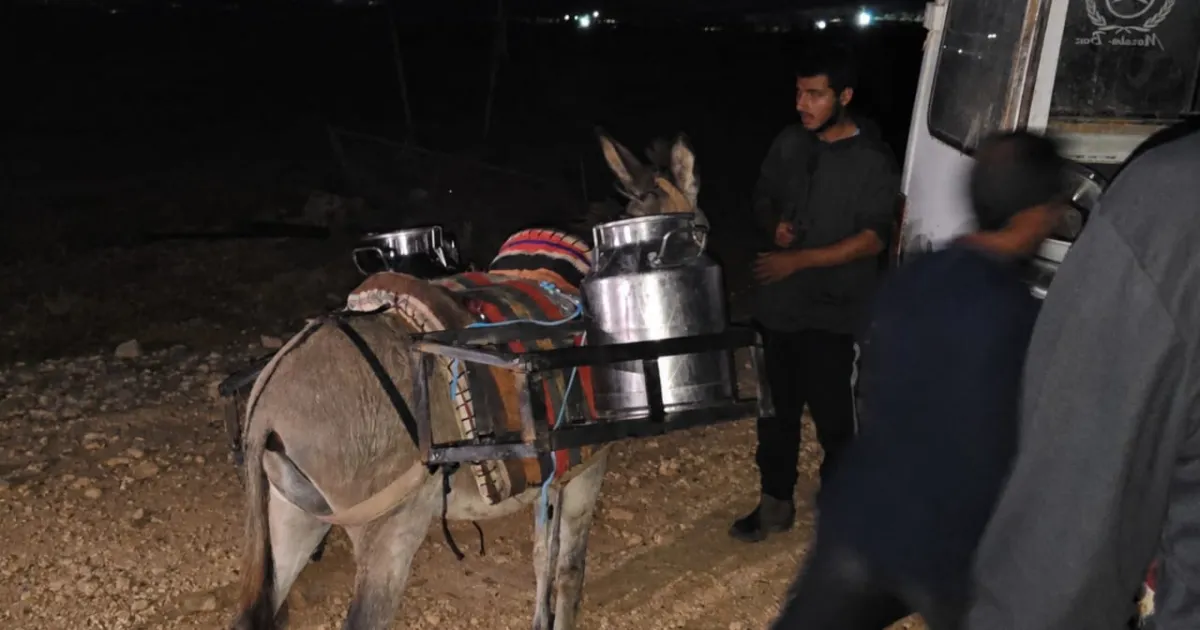 Residents-of-Ras-al-Ahmar-were-forced-to-transport-milk-at-night-on-donkeys-away-from-the-eyes-of-so.webp